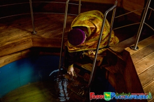 �������� ��������� "����������"