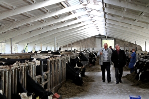 �������, �����������