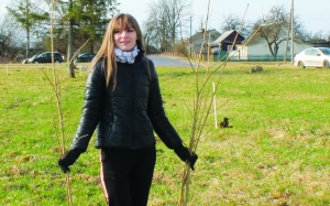 �������, ���������