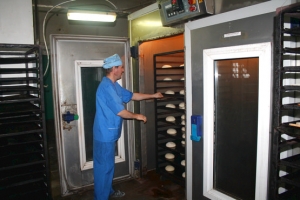 ���������� ����� ����� �������