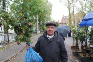 �������, �������� 