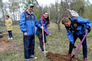 �����, �������, ������ ������