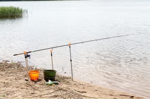 ������� �����, ������, �����, �����