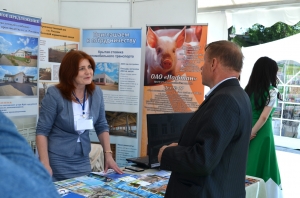 �����, �������