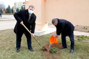 �������, ��� �����������