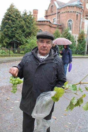 �������, �������� 