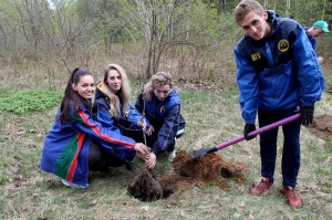 �����, �������, ������ ������