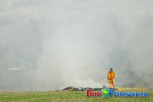 ��������� ������� ��� ���������� � ������� �������� ����������������� ���������� �� ���������� � �������������� ������ 2016 ����