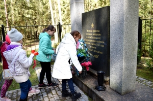 ����������, ��������