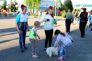 �������, ���� ������,��������