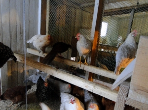 � �� ������� �� �� ������� �������?