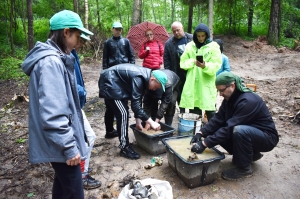 �������, �����