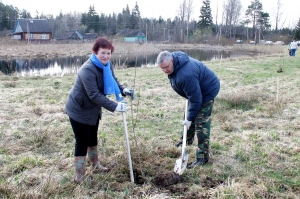 �������, ���������