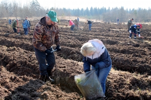 �������, ������� ����