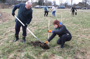 �������, ���������