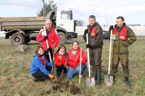 �������, ���������