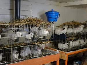 � �� ������� �� �� ������� �������?