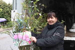 �������, �������� 