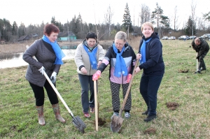 �������, ���������