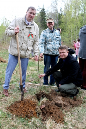 �����, �������, ������ ������