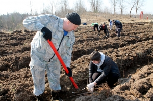 �������, ������� ����