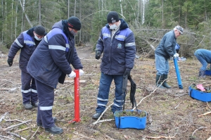 �������, ������ ����