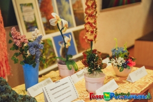 �������� ���� ���������������� ������������ �������� ���������� �������� ����������� ������ ����� ��������-2016� � ��������