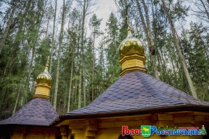 �������� ��������� "����������"