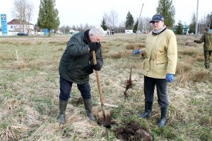 �������, ���������