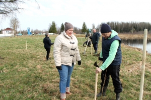 �������, ���������