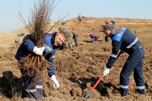 �������, ������� ����