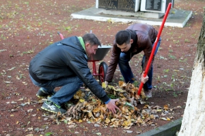 �������, ���������