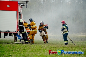 ��������� ������� ��� ���������� � ������� �������� ����������������� ���������� �� ���������� � �������������� ������ 2016 ����