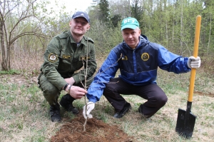 �����, �������, ������ ������