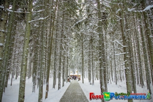 ��� �������� ��������� ���� �� ��������� "����������"