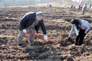 �������, ������� ����