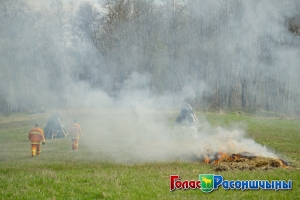 ��������� ������� ��� ���������� � ������� �������� ����������������� ���������� �� ���������� � �������������� ������ 2016 ����