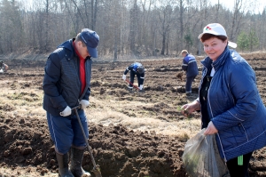 �������, ������� ����