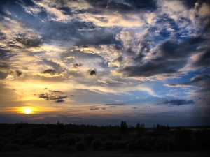 ���� ��� ������ ������� - ���������� ϸ��