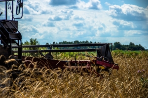 ������ �������� - ���������� ϸ��