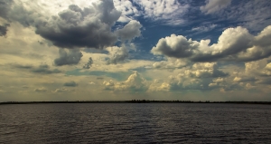 ����� ������� - ���������� ϸ��