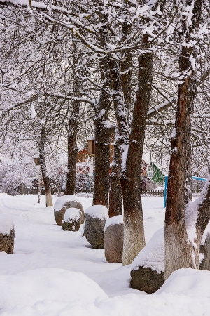 �������� ����� ����������� - ���������� ϸ��