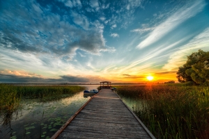 ����� �� ����� ������� - ���������� �.�.