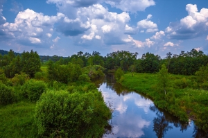 ���� ������� �.��������� - ���������� ϸ��