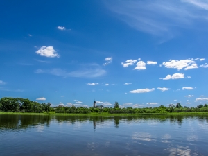 ��� �� ����� � ����� - ���������� ϸ��